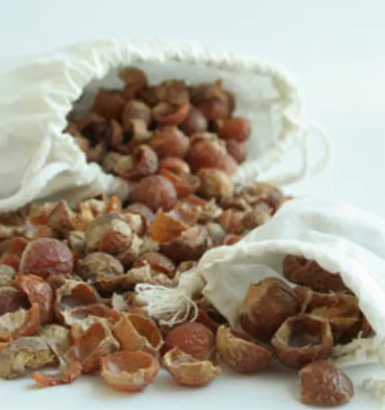 Puur organisch Wasnoten - wasmiddel - kleding - shampoo thuis maken - natuurlijk en duurzaam 1kg - Afbeelding 4