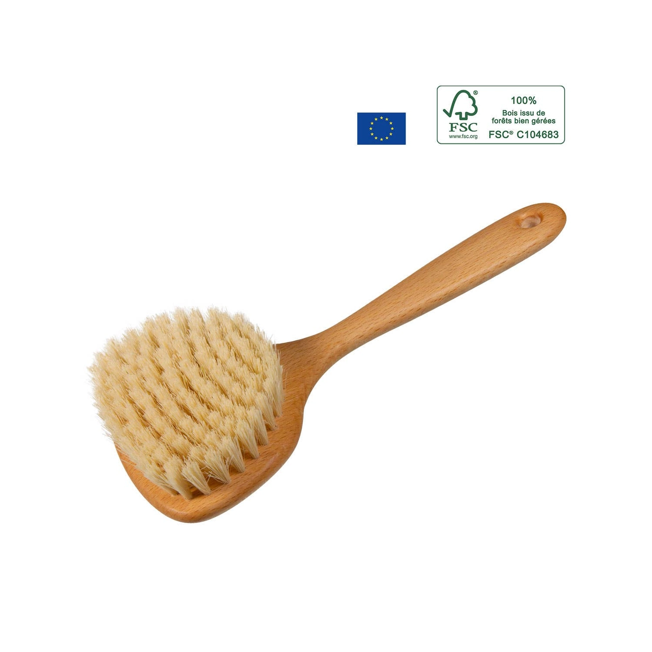 borstel-lichaam