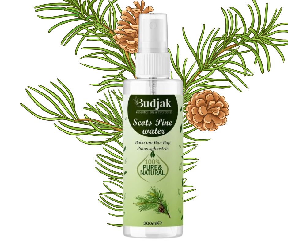 Biologische Bloemenwater van grove den (Pinus sylvestris) – vette huid - tonifieert - 200ml