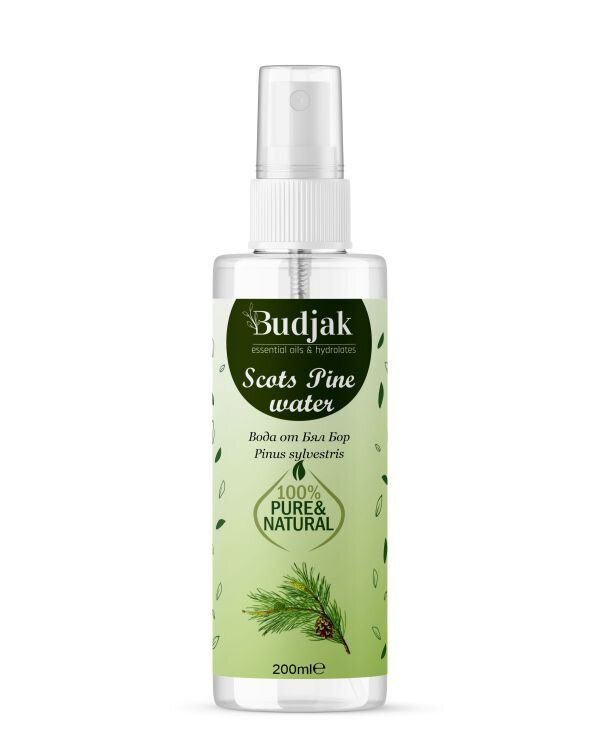 Biologische Bloemenwater van grove den (Pinus sylvestris) – vette huid - tonifieert - 200ml - Afbeelding 2