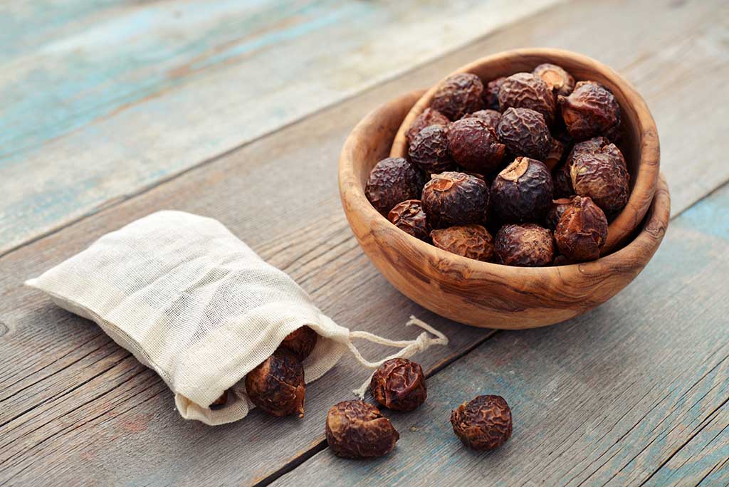 Phitofilos biologische Reetha poeder - Vet - krullend haar - voedend - zuiverend  - hoofdhuid 100gr