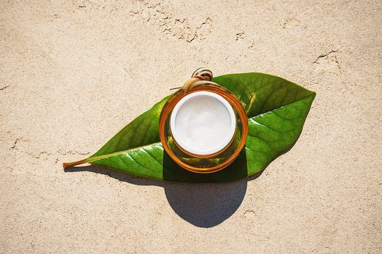 Slakkenslijm extract – smerig maar goed voor jouw huid