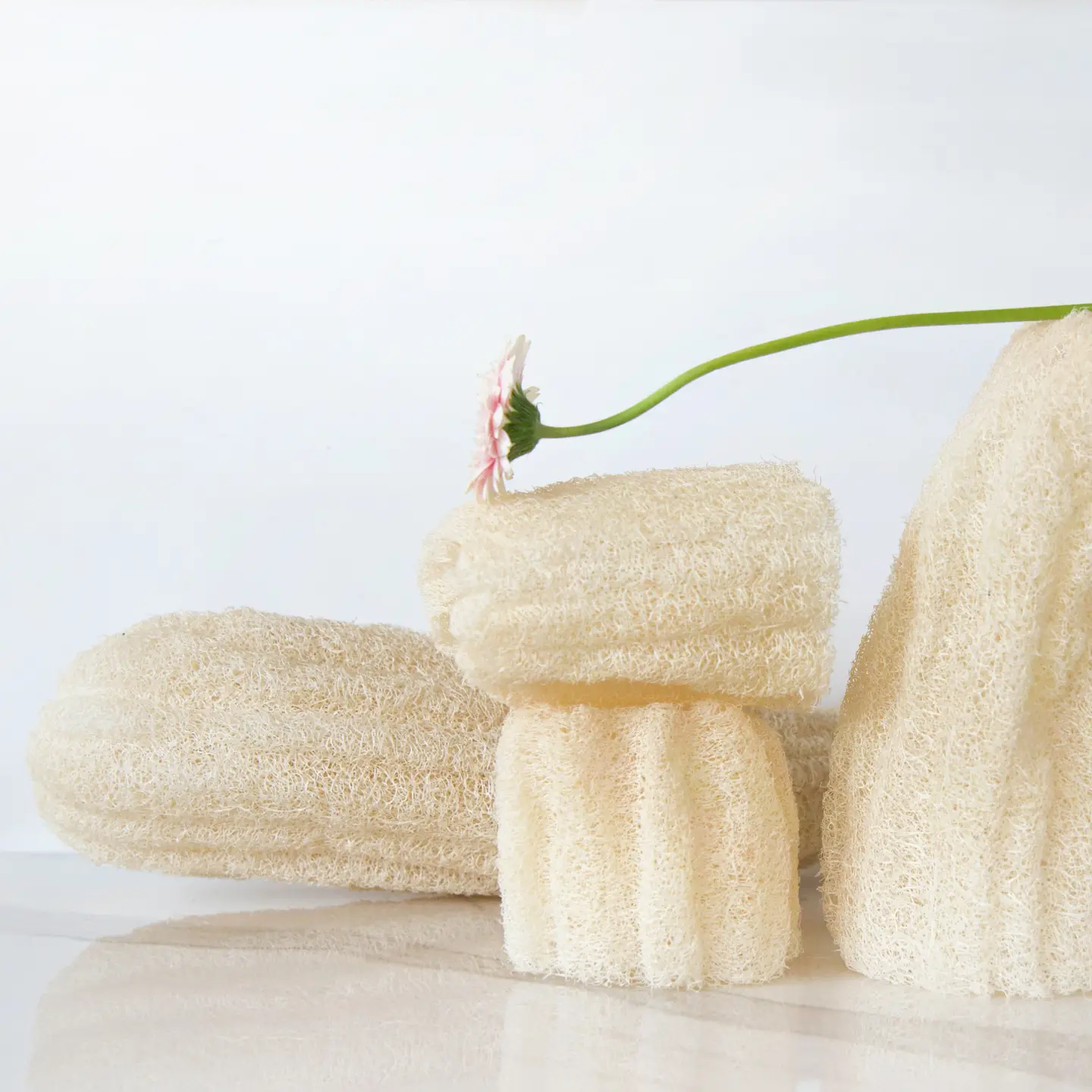 Organische Loofah Spons – natuurlijk product – uitstekend voor droge huid – doe de afwas mee - 8-10 cm - Afbeelding 4