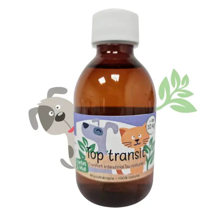 KasTete Franse Top Transit Natuurlijke Siroop - Honden en katten - minder dan 10 kg - spijsvertering 200ml