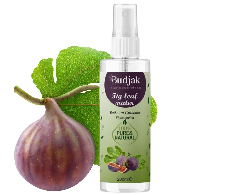 Biologische Vijgenbladbloemenwater (Ficus carica) – verjongt - kalmeert de huid - fruitig-zoet aroma 200ml